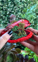 Load image into Gallery viewer, Strawberry Stash bottle