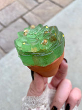 Load image into Gallery viewer, Succulent Jelly Melts