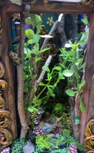 Load image into Gallery viewer, FairyForest Library BookNook