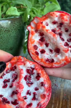 Load image into Gallery viewer, Pomegranate wax melt