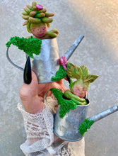 Load image into Gallery viewer, Baby mandrake necklace in watering pot!