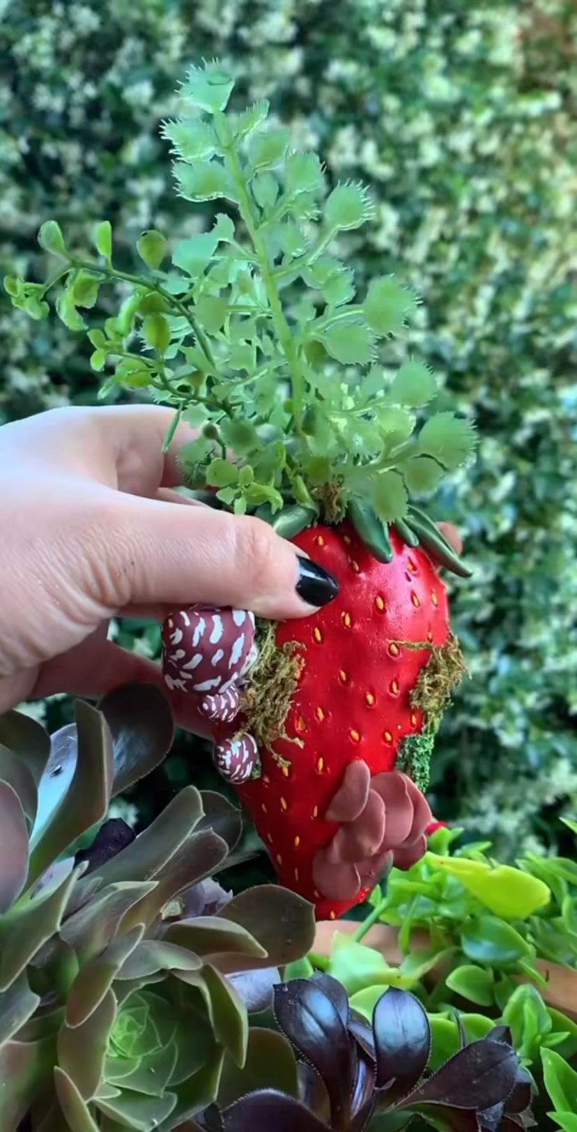 Strawberry Stash bottle