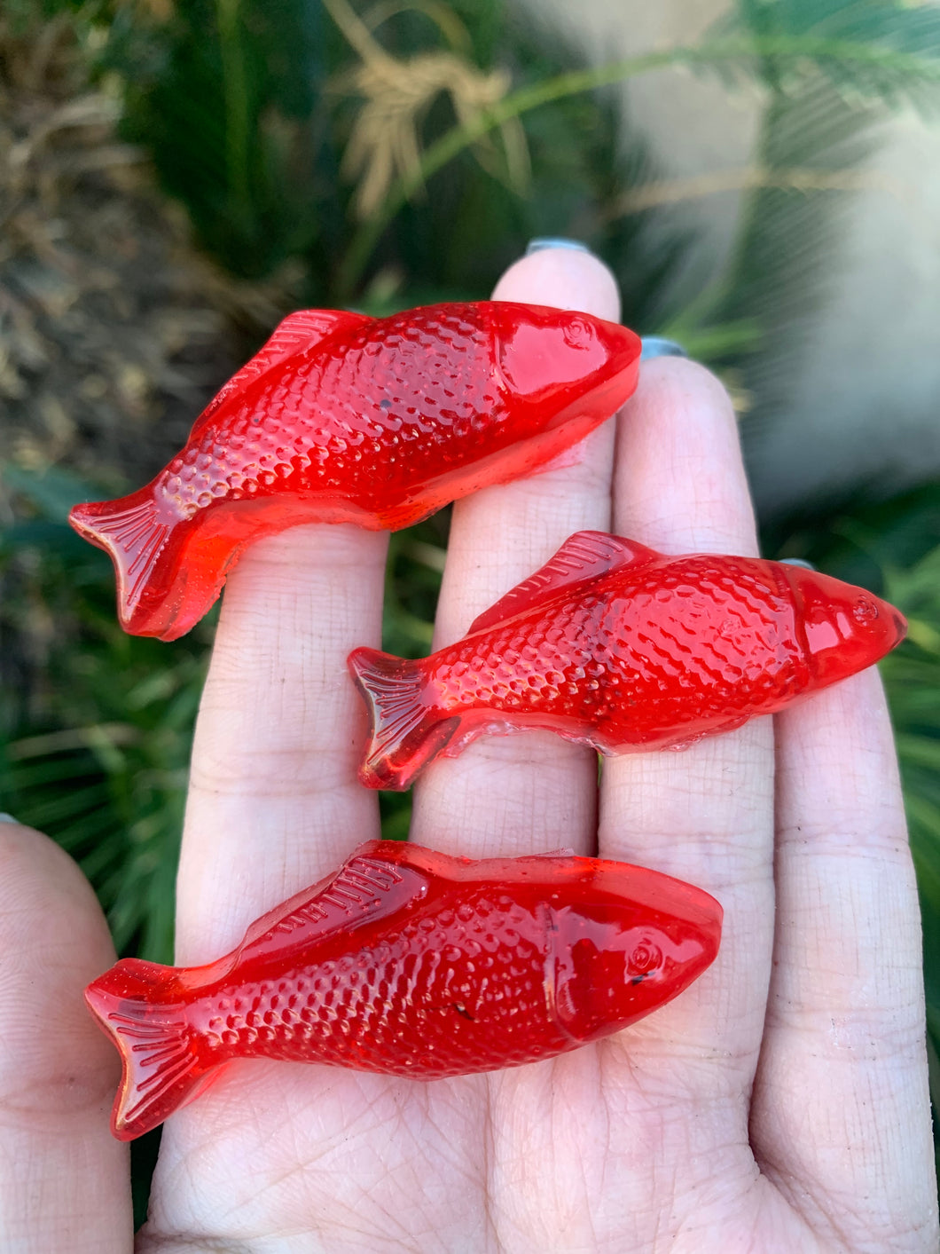 Swedish fish jelly melts