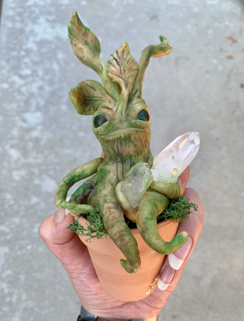 Potted mandrake plant – ShadowlightHaven