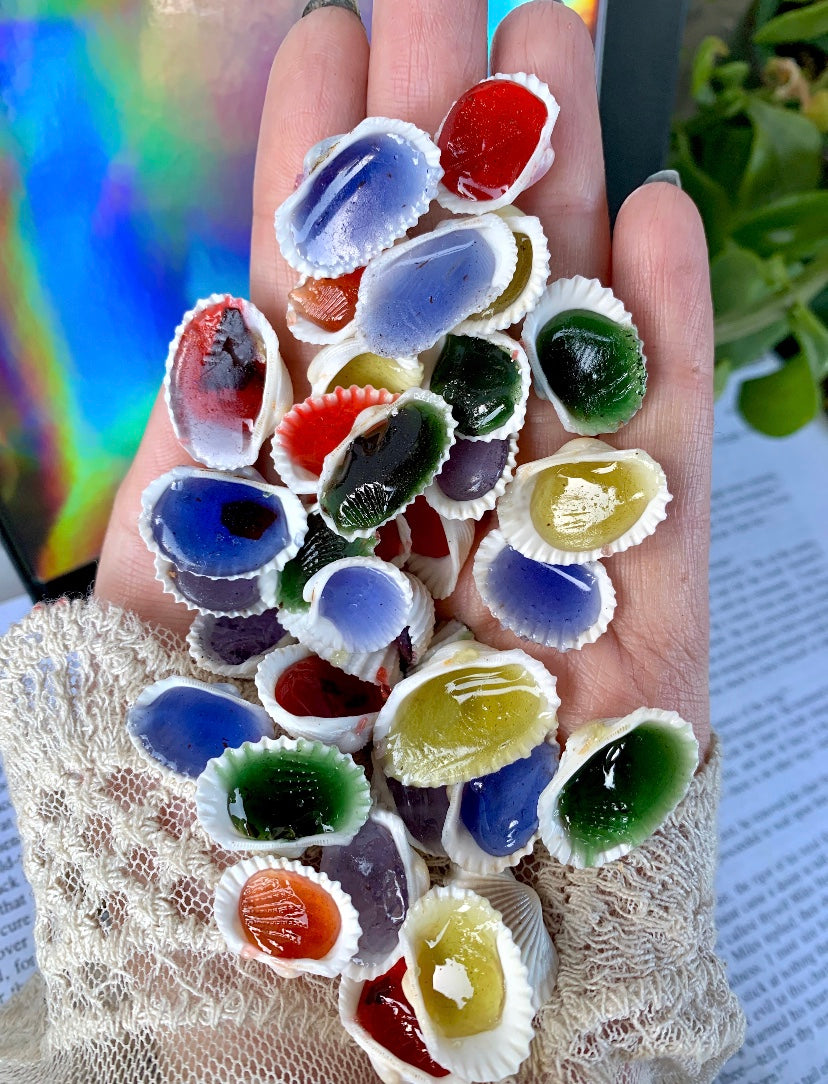 Shell Jelly Melts